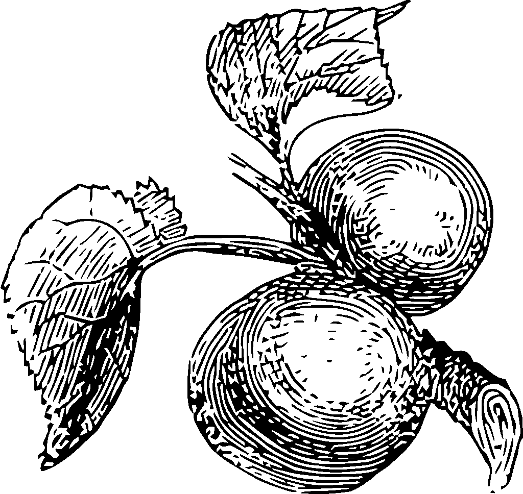 mini guide d'écoute podcast